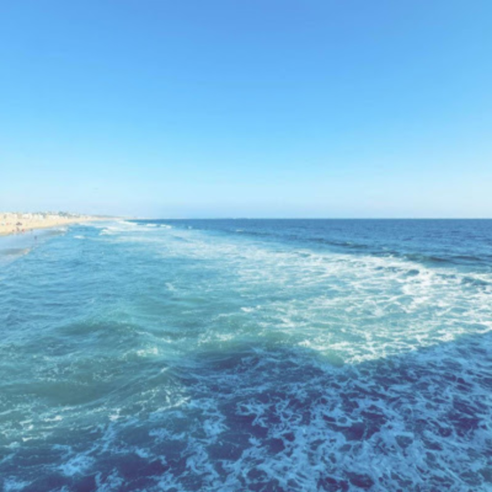 Meet your Posher, Sophia